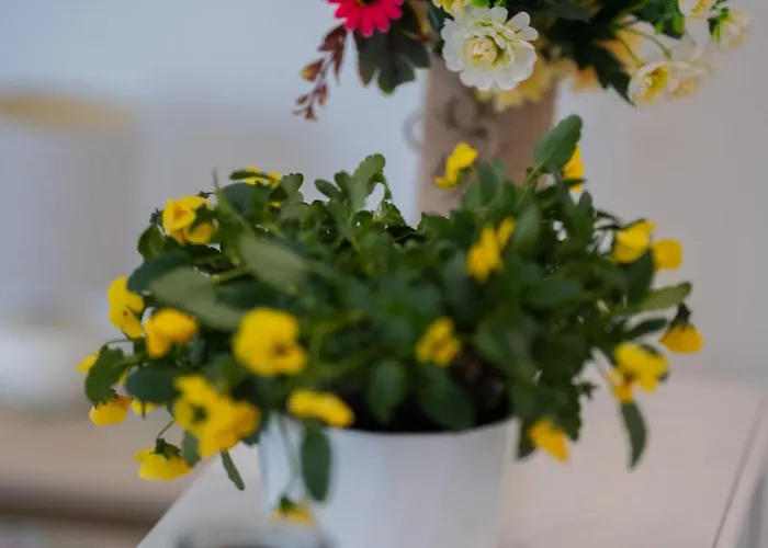 Salsedine E Pini By Casavacanze Di Angelo *