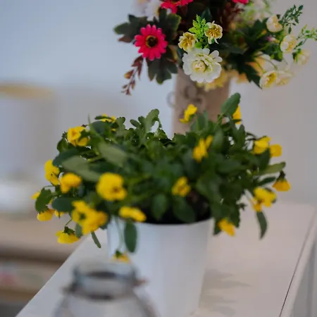 Salsedine E Pini By Casavacanze Di Angelo *